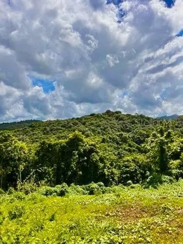 Solar 19 BARRIO CORDILLERA, Ciales, PR 00638