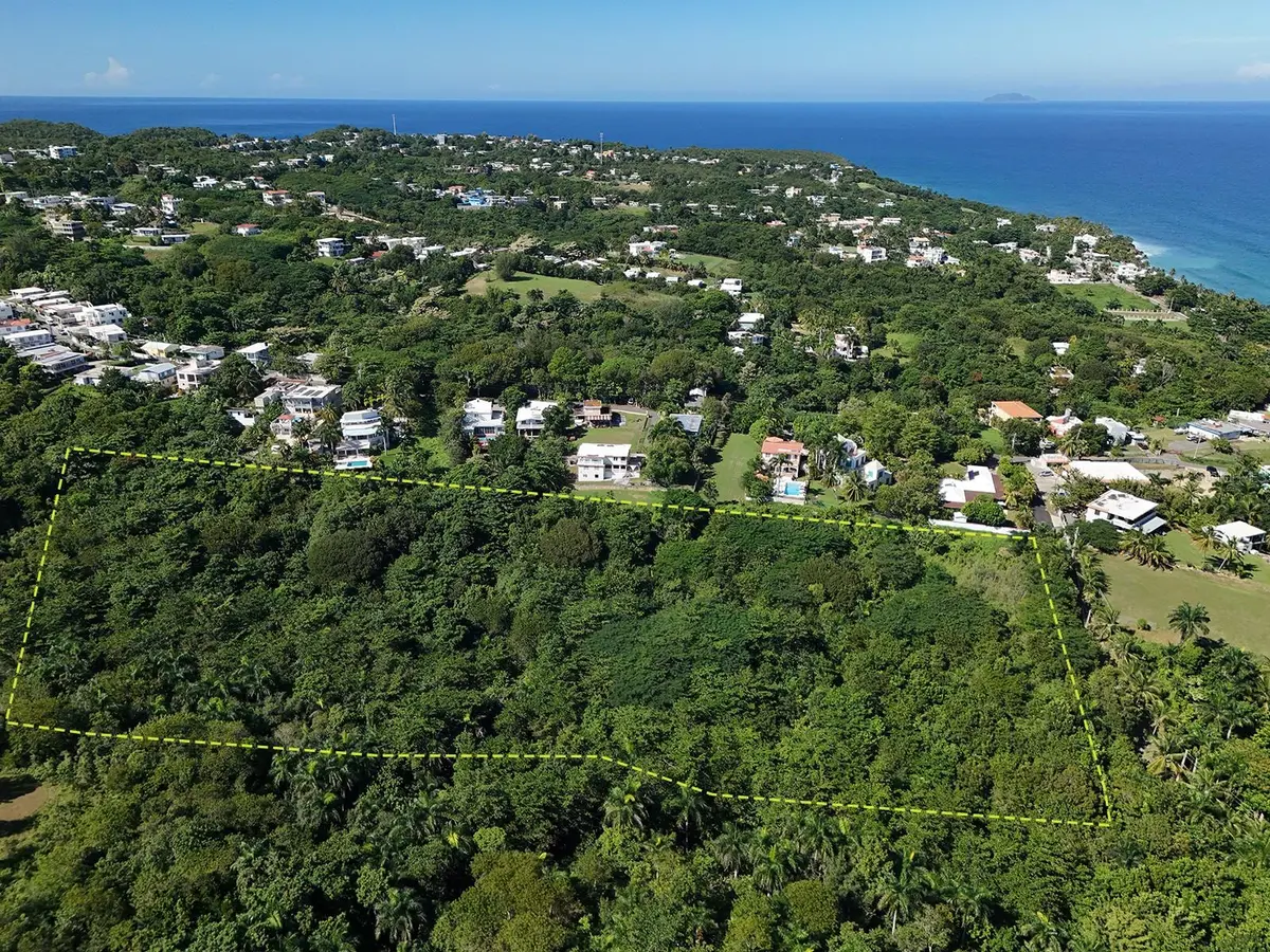 CALLE LAS PALMAS, Rincon, PR 00677