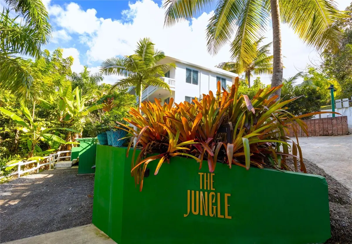 Carr. 413 Int. Km 4 THE JUNGLE, Rincon, PR 00677