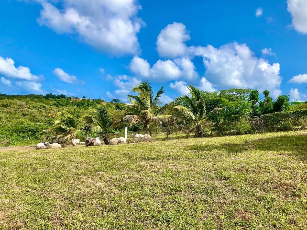 63 ROUTE 201, Vieques, PR 00765