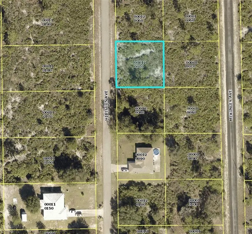 1610 HIBISCUS AVE, Lehigh Acres, FL 33972