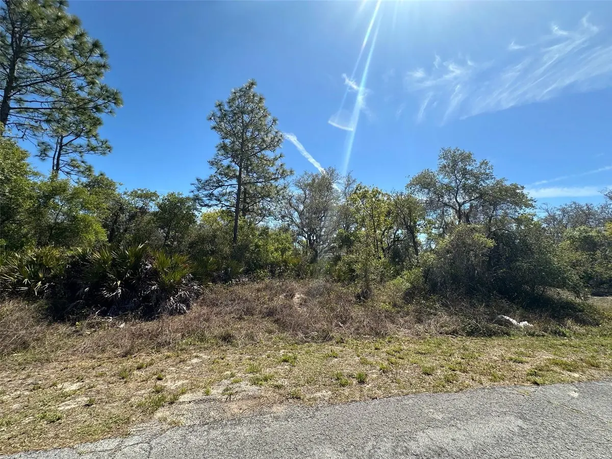 419 MAITLAND CT, Kissimmee, FL 34759