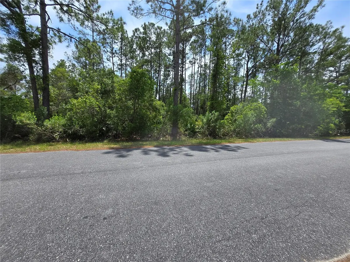 00 W BLUEBELL AVE, Eustis, FL 32736