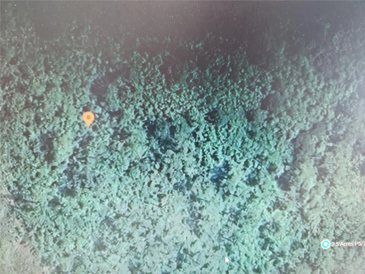 HOLOPAW GROVES RD, St Cloud, FL 34771