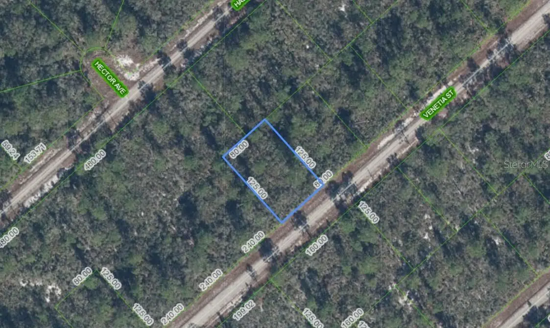 3535 VENETIA ST, Lake Placid, FL 33852