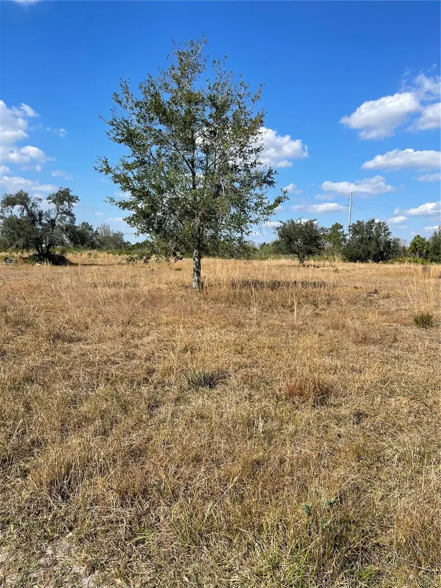 HAMMERMILL AVE, Lake Wales, FL 33859