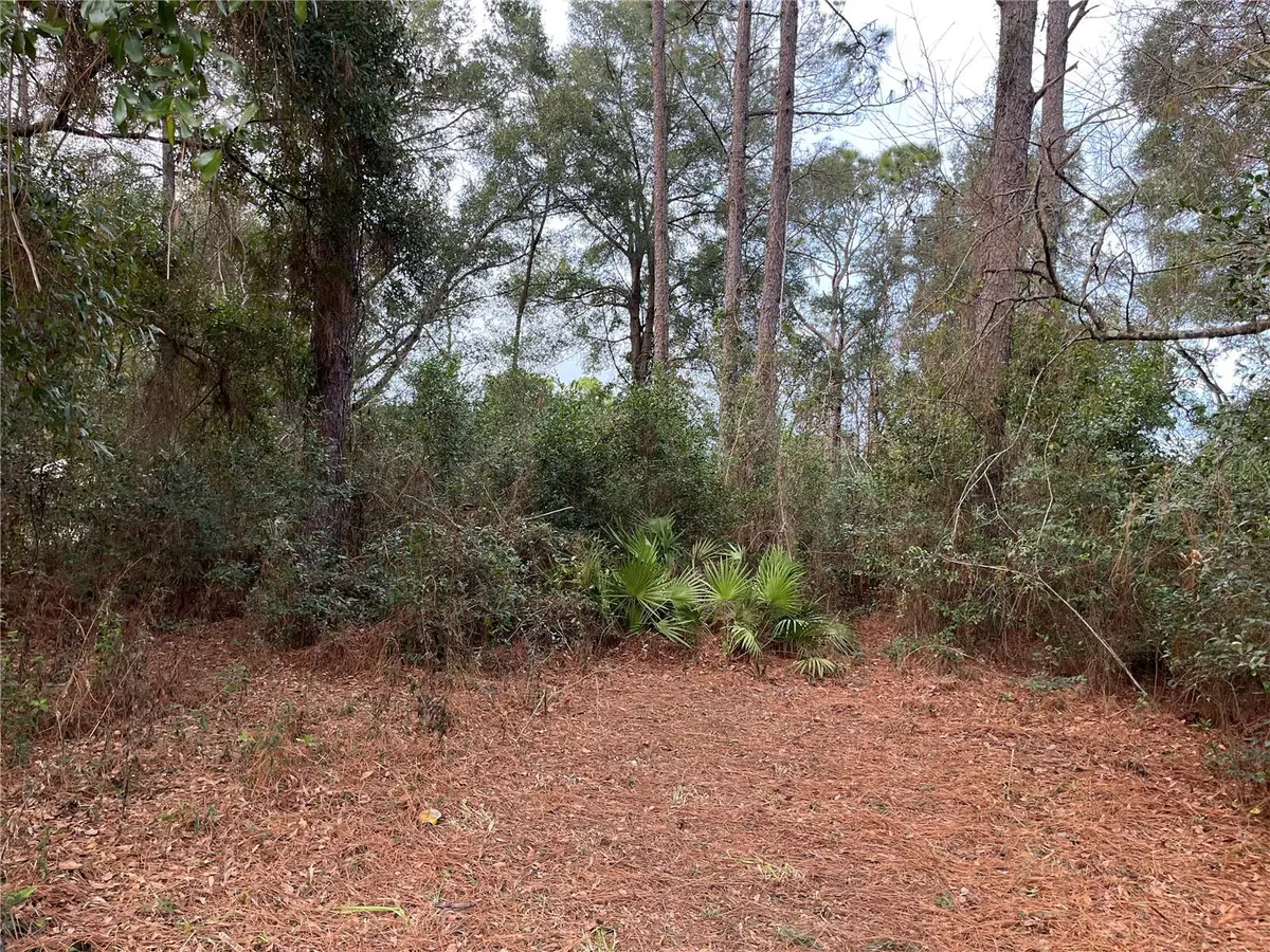 Lots 17 & 18 NW 20TH ST, Ocala, FL 34482