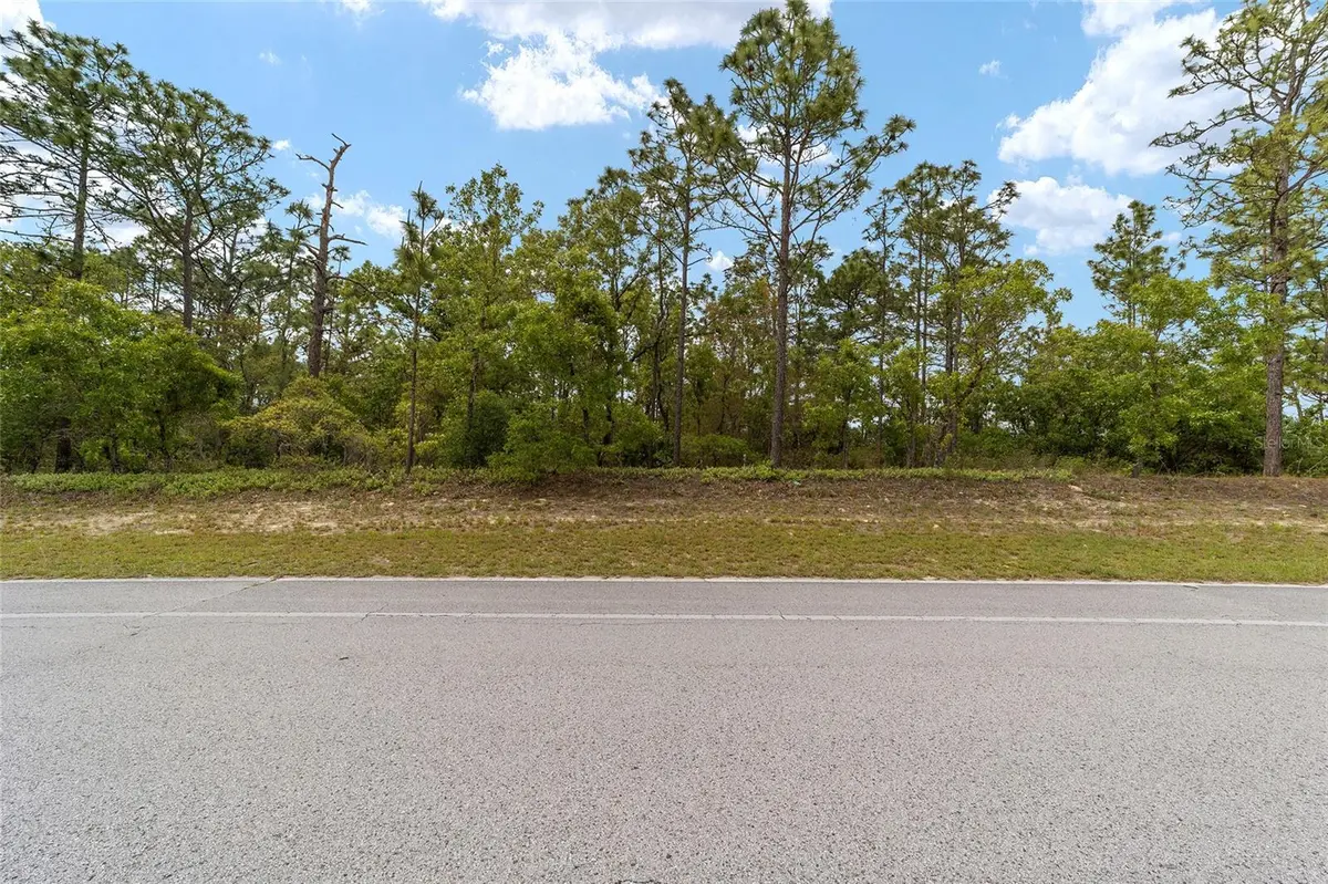 9200 N CITRUS SPRINGS BLVD, Citrus Springs, FL 34433