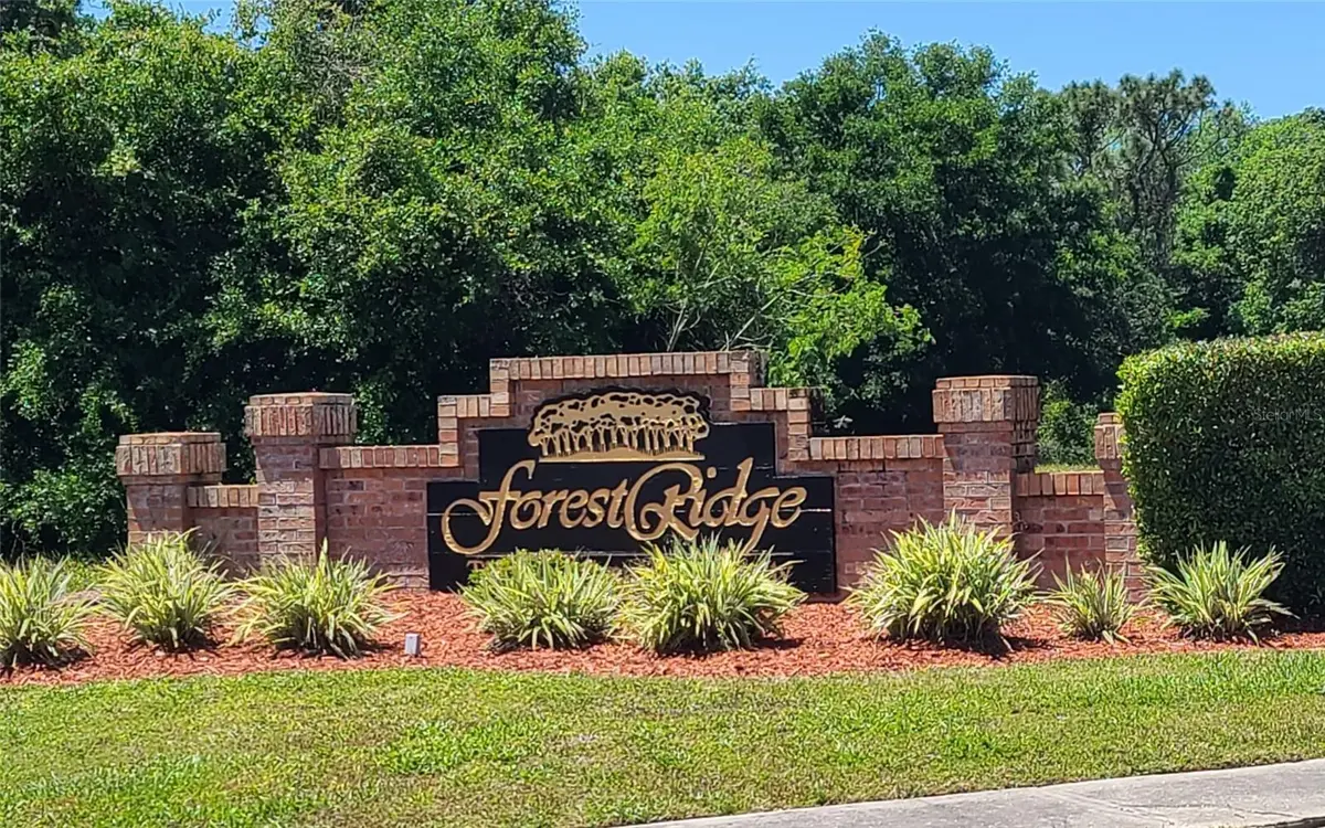 0 WOOD DOVE, LOTS 1.2.3.&4 AVE, Tarpon Springs, FL 34689