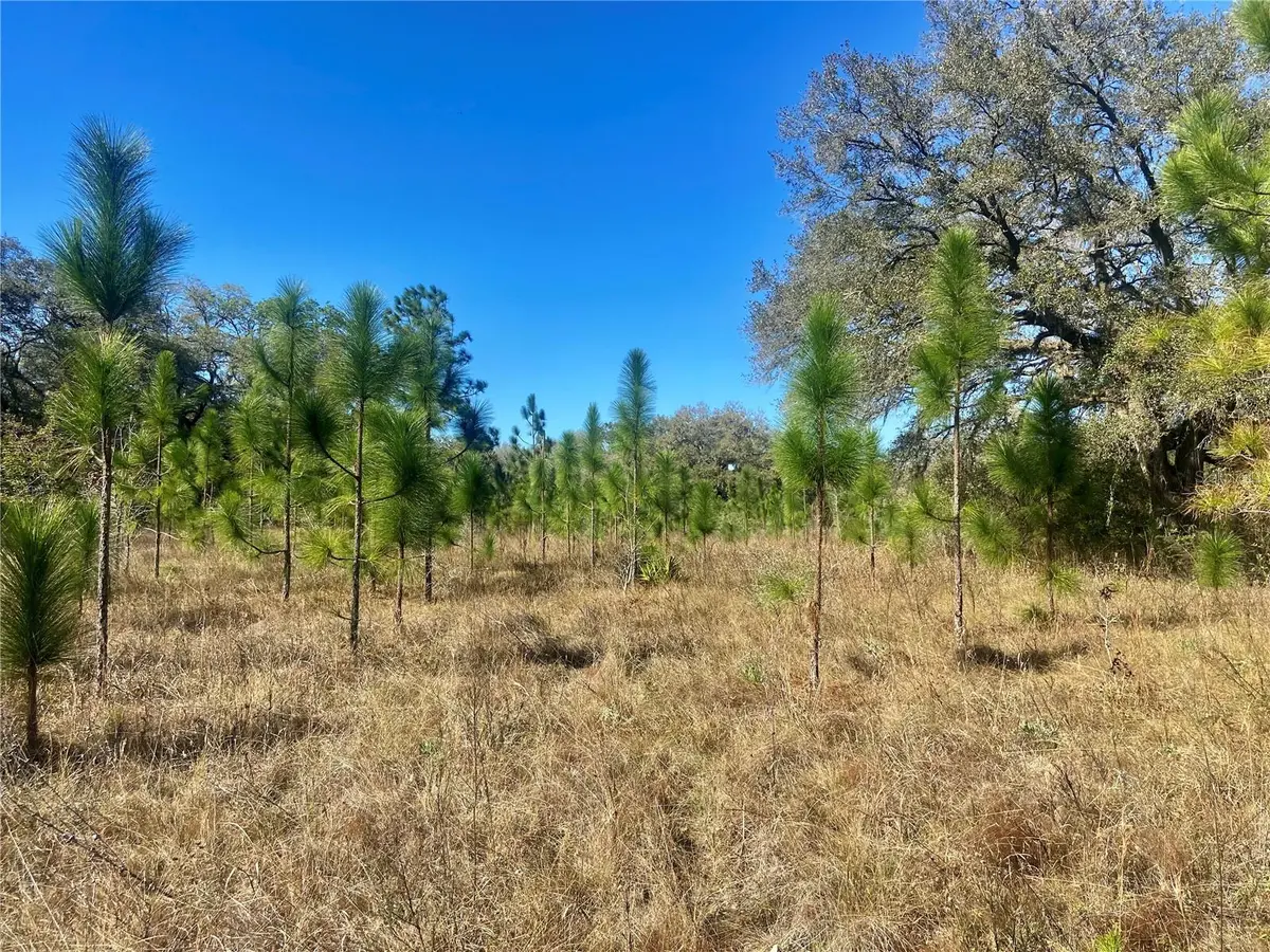00 UNNAMED, Spring Hill, FL 34610