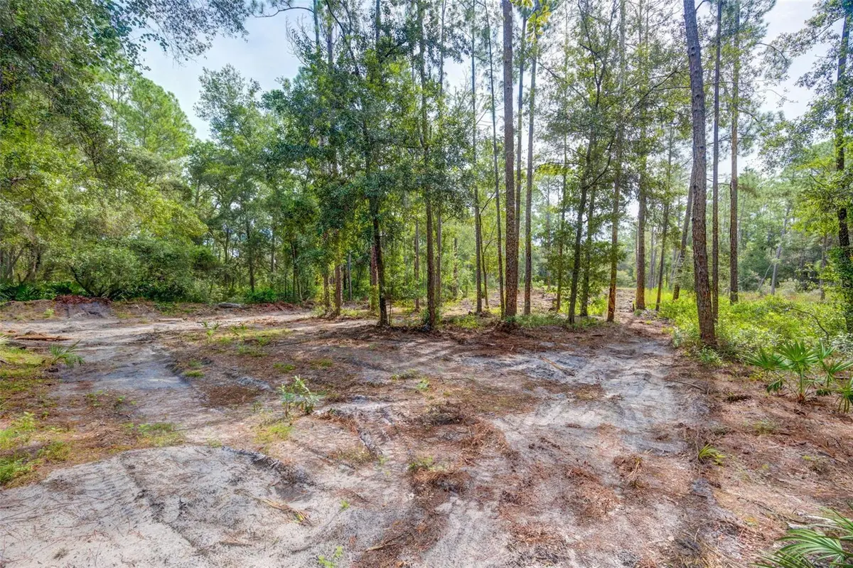 34389 GRINDSTONE DR, Webster, FL 33597