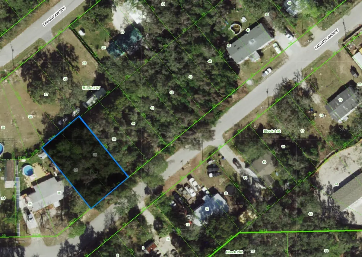 000 LANTANA AVE, New Port Richey, FL 34654