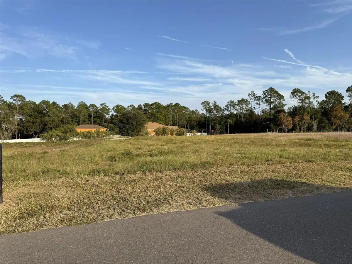 14950 MIM PL, Dade City, FL 33525