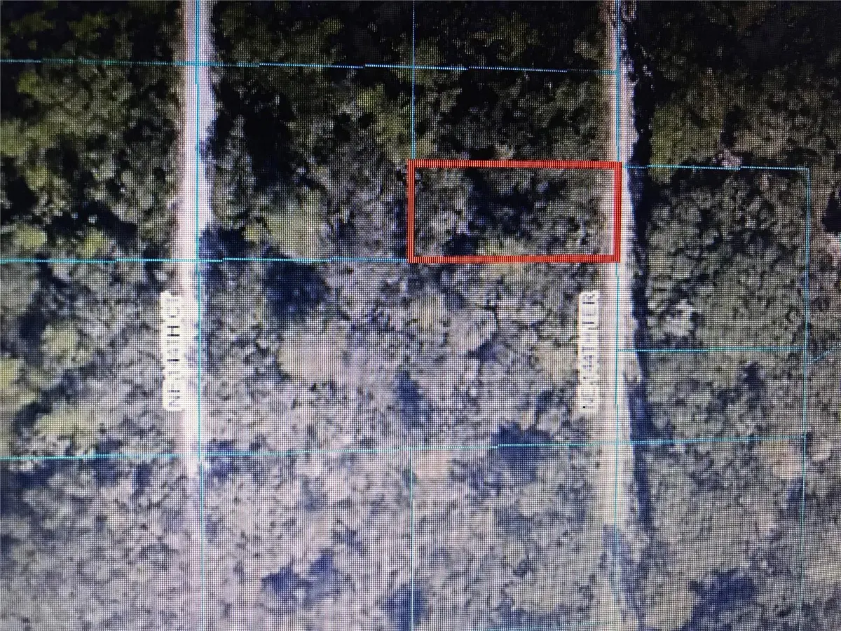 TBA NE 144TH TER, Fort Mc Coy, FL 32134
