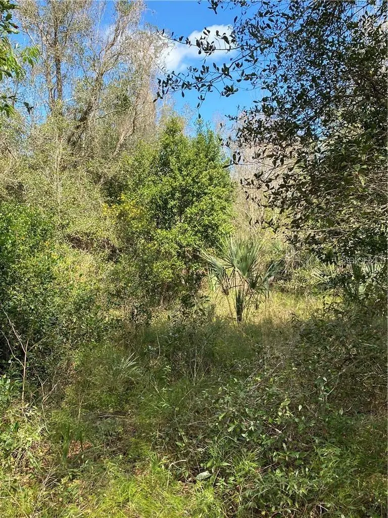 W BERESFORD RD, Deland, FL 32720