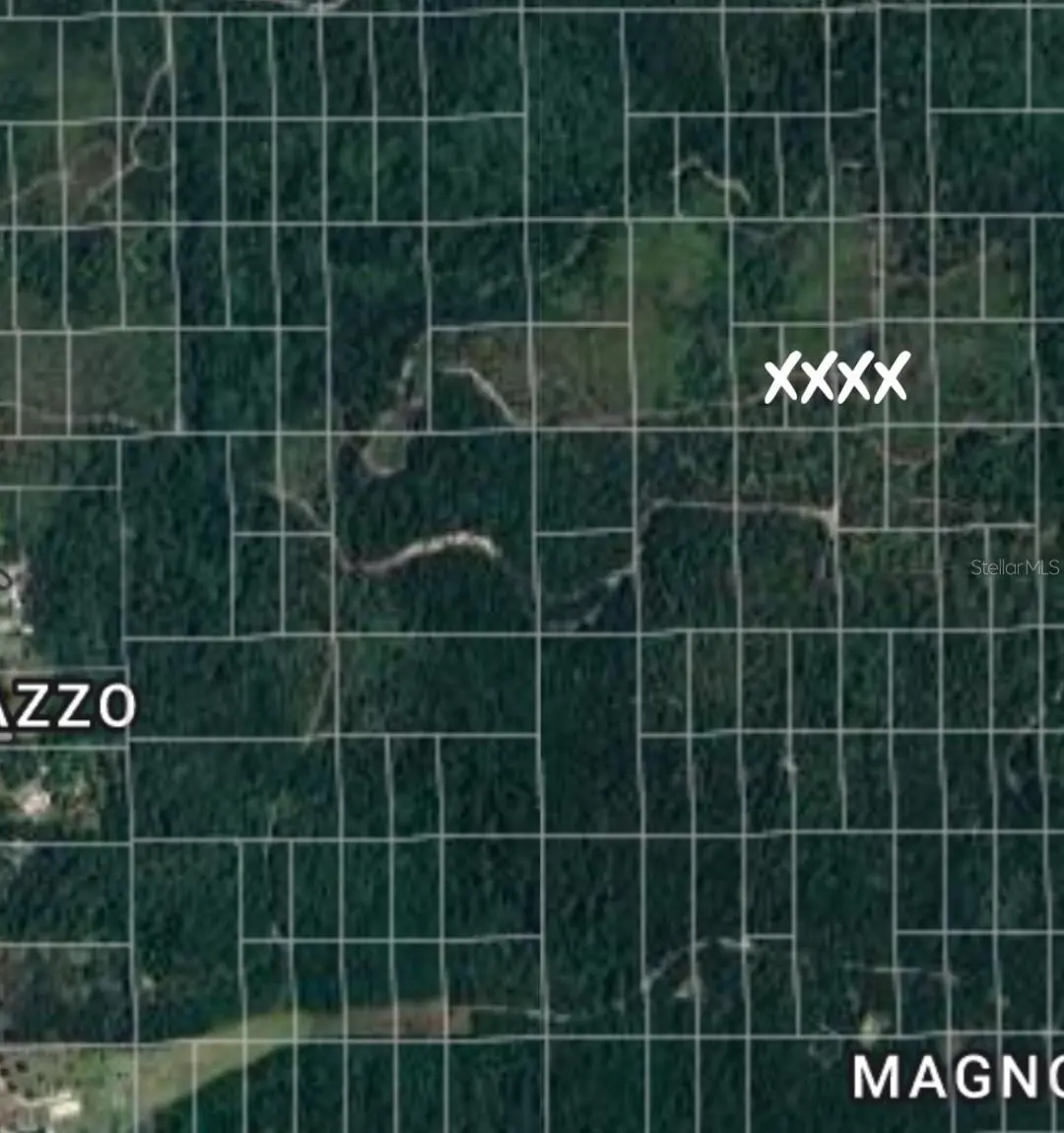 NO NAME, Deland, FL 32724