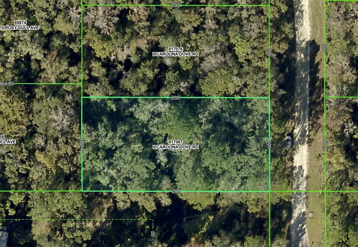 Lot 3 CAROLINA DOVE RD, Weeki Wachee, FL 34614