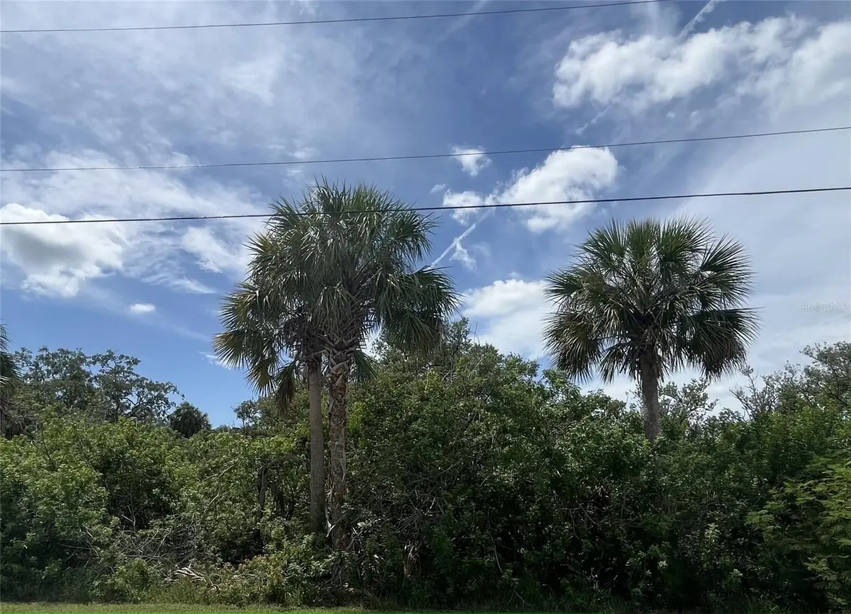 BETTY ST, Port Richey, FL 34668