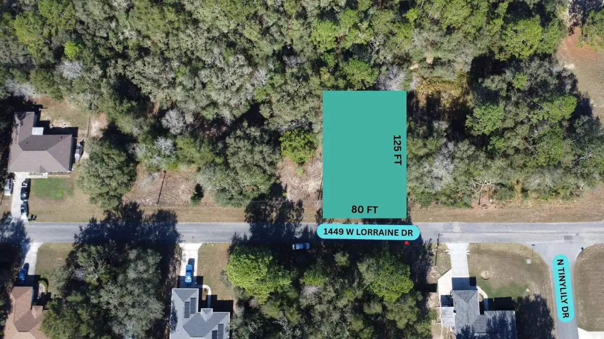 1449 W LORRAINE DR, Citrus Springs, FL 34434