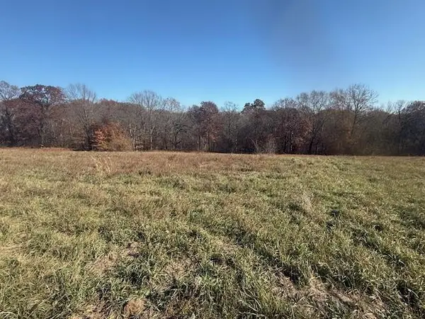 NE Mt. Olivet RD, Smithville, MO 64089