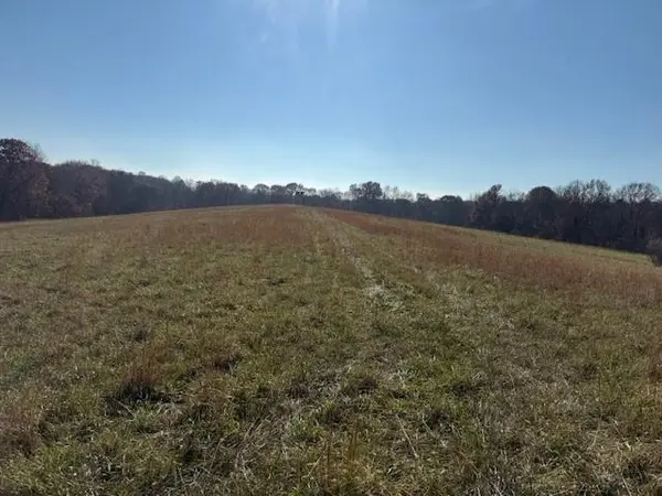 NE Mt. Olivet RD, Smithville, MO 64089