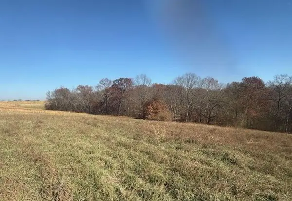 NE Mt. Olivet RD, Smithville, MO 64089