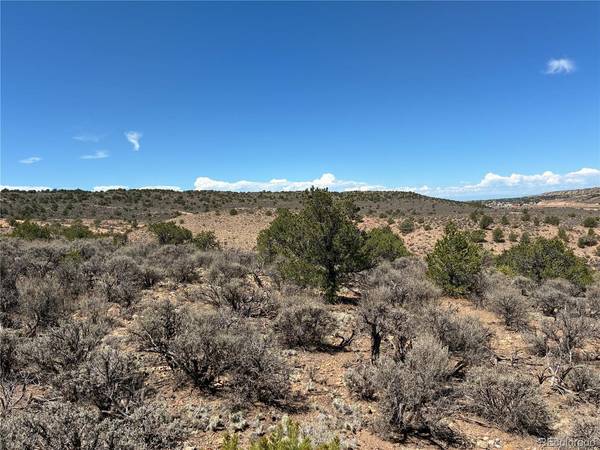 10 Icehouse, Fort Garland, CO 81133