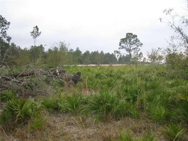41025 E 20TH PL, Myakka City, FL 34251