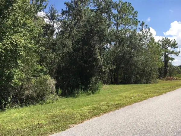 41025 E 20TH PL, Myakka City, FL 34251