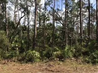 RIPLEY ST, North Port, FL 34286
