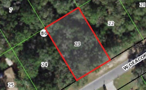 805 W DEACON PL, Citrus Springs, FL 34434