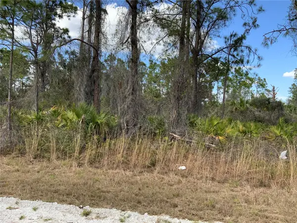 4219 E 30TH ST, Alva, FL 33920