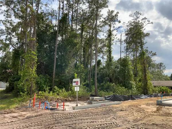 10 RIPTON PL, Palm Coast, FL 32164