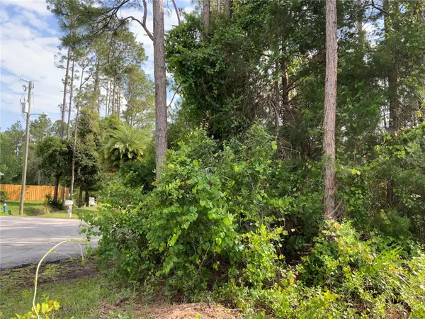 10 RIPTON PL, Palm Coast, FL 32164