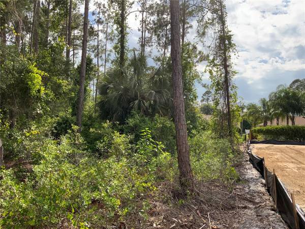 10 RIPTON PL, Palm Coast, FL 32164