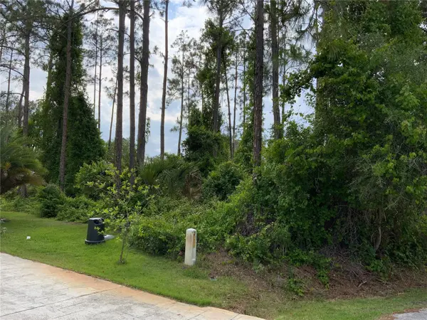 10 RIPTON PL, Palm Coast, FL 32164