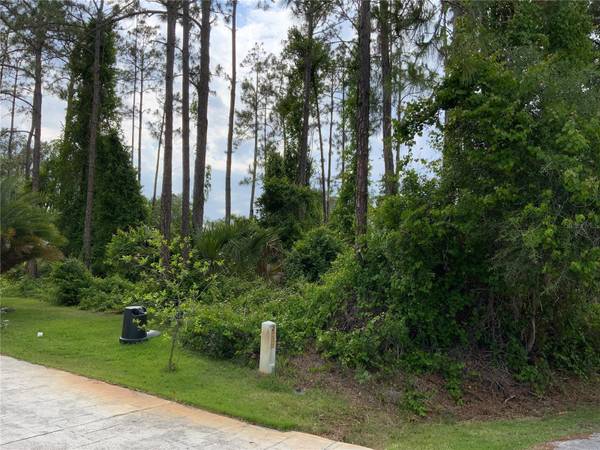 10 RIPTON PL, Palm Coast, FL 32164
