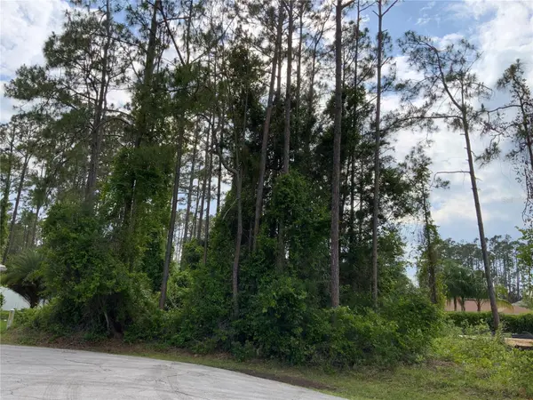 10 RIPTON PL, Palm Coast, FL 32164