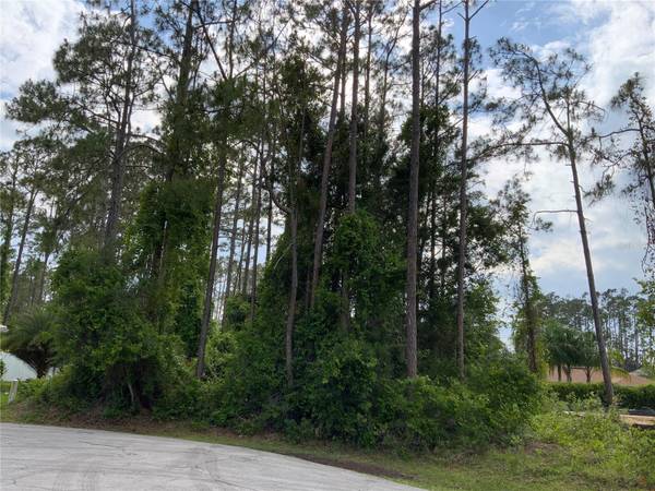 10 RIPTON PL, Palm Coast, FL 32164