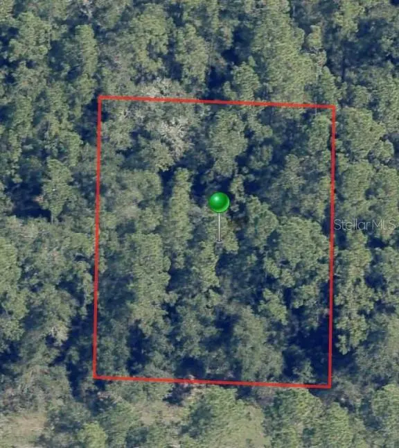 225 E ENFIELD LN, Citrus Springs, FL 34434