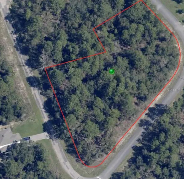 8021 N EPIC DR, Citrus Springs, FL 34433