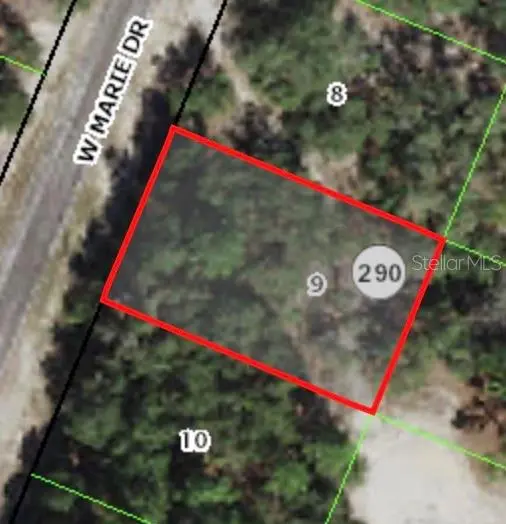 3050 W MARIE DR, Citrus Springs, FL 34433