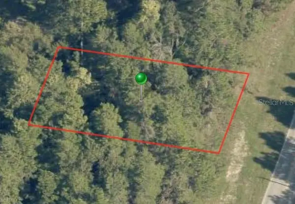 7748 N ELKCAM BLVD, Citrus Springs, FL 34433