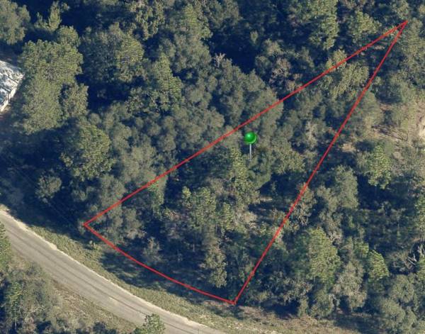 6956 N LIME DR, Citrus Springs, FL 34433