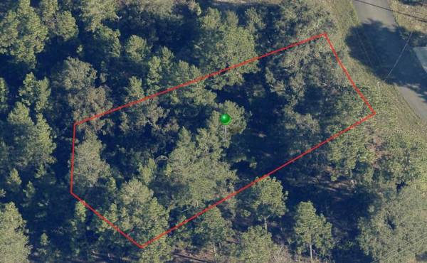6664 N BUCKSKIN DR, Citrus Springs, FL 34434