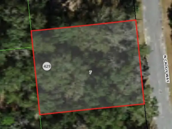 9020 N CADDY WAY, Citrus Springs, FL 34434