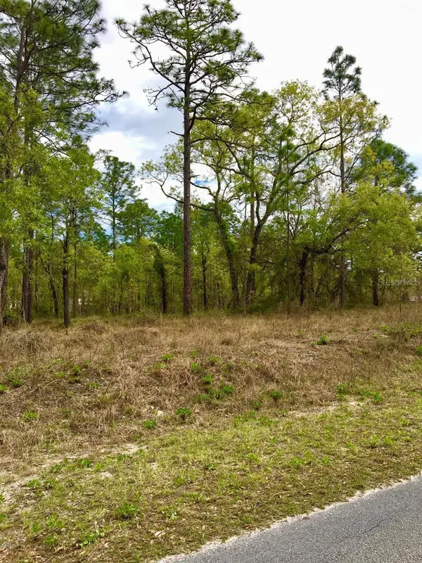 NW FALCON AVE, Dunnellon, FL 34431