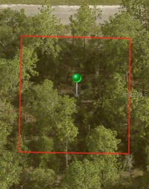 1796 W SKYLINE DR, Citrus Springs, FL 34434