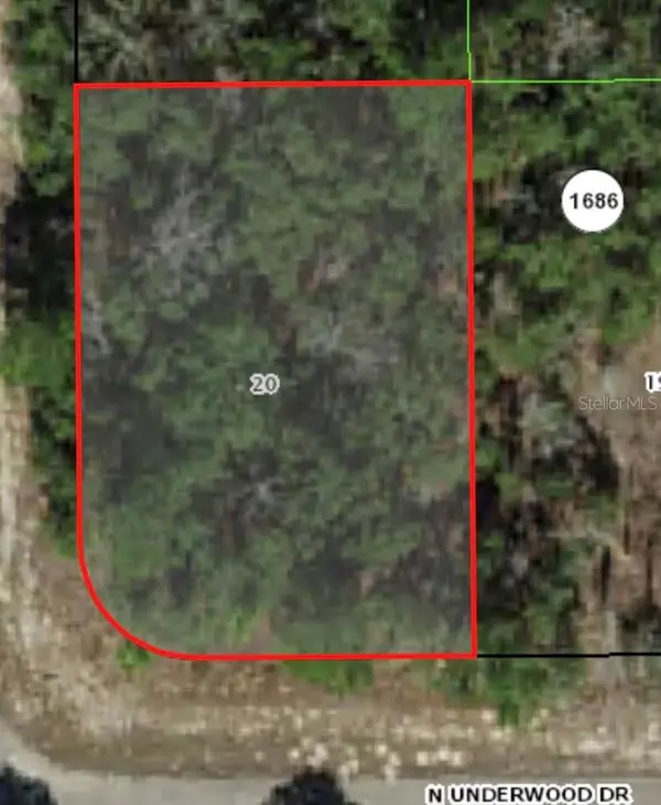 6621 N UNDERWOOD DR, Citrus Springs, FL 34434