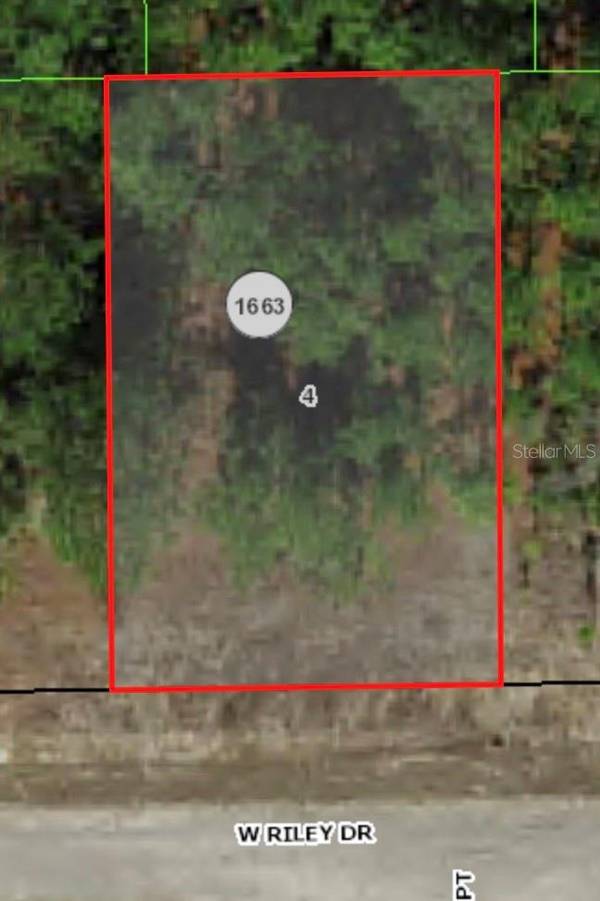 1233 W RILEY DR, Citrus Springs, FL 34434